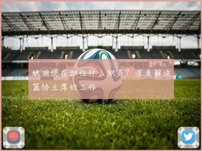 姚明现在担任什么职务?深度解读篮协主席的工作
